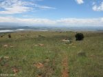 spionkop-graves-1