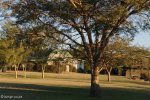 spionkop-lodge-8