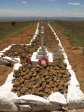 spionkop-main-monument-elev-1473m-5_0