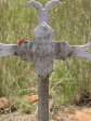 spionkop-major-doveton-i-l-h_0