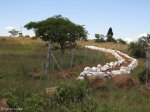 spionkop-mass-grave-site-1