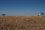 spionkop-mass-graves-9