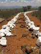 spionkop-mass-graves-british-soldiers-3