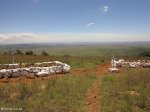 spionkop-mass-graves