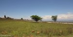 spionkop-mass-graves_0