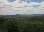 spionkop-mt-alice-mt-royal-turnoff-s28-42-19-e29-31-49-elev-1173m-1