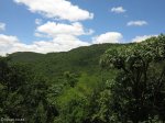 spionkop-mt-alice-mt-royal-turnoff-s28-42-19-e29-31-49-elev-1173m-3