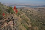 spionkop-outlook-towards-tugela-10