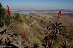 spionkop-outlook-towards-tugela-11