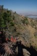 spionkop-outlook-towards-tugela-12
