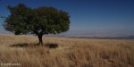 spionkop-outlook-towards-tugela-2