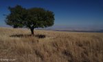 spionkop-outlook-towards-tugela-4