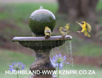 Spionkop-Lodge-birdbath-2