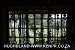 Spionkop-Lodge-dining-area-and-bar-5