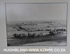 Spionkop-Lodge-memorabilia-Trere-and-Buller17