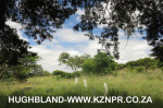 Spionkop-Spearmans-Military-Cemetary-S-28.43.22-E-29.32.32-Elev-1153m-119