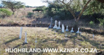 Spionkop-Spearmans-No-4-Stationary-Field-Hospital-General-Views-10