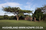Spionkop-gardens-1