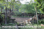 Spionkop-lodge-cattle-kraal-4