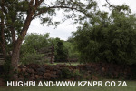 Spionkop-lodge-cottages-9