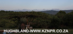 Spionkop-lodge-views-1