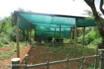 Mount-Alice-lecture-theatre