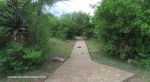 Spionkop-Mount-Alice-Monument-approach-to-summit-2