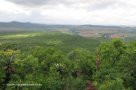 Spionkop-Mount-Alice-views-of-Spionkop-and-Vaalkrans-2