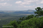 Spionkop-Mount-Alice-views-of-Spionkop-and-Vaalkrans-4