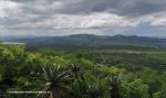 Spionkop-Mount-Alice-views-of-Spionkop-and-Vaalkrans-6