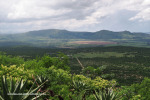 Spionkop-Mount-Alice-views-of-Spionkop-and-Vaalkrans-8