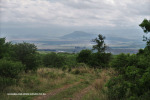 The-road-up-to-Mount-Alice-Spionkop-Winterton-direction-4