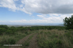 The-road-up-to-Mount-Alice-Spionkop-south-approach-4