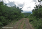 The-road-up-to-Mount-Alice-Spionkop-south-approach-5
