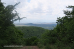 The-road-up-to-Mount-Alice-Spionkop-south-approach-6