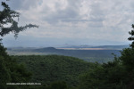 The-road-up-to-Mount-Alice-Spionkop-south-approach-7