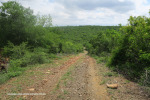 The-road-up-to-Mount-Alice-Spionkop-south-approach-9