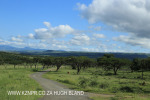 Spionkop Nature Reserve (101)