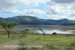 Spionkop Nature Reserve Boat Club (5)