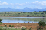 Spionkop Nature Reserve dam views (37)