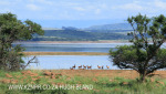 Spionkop Nature Reserve dam views (38)