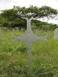 spionkop-spearmans-no-4-stationary-field-hospital-2885-pte-wc-rose-1st-d-l-i