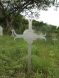 spionkop-spearmans-no-4-stationary-field-hospital-3363-pte-w-lloyd-2nd-lancs