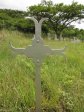 spionkop-spearmans-no-4-stationary-field-hospital-5111-pte-j-creaser-lanc-fus