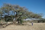 spionkop-spearmans-no-4-stationary-field-hospital-general-views-10