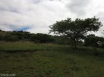 spionkop-spearmans-no-4-stationary-field-hospital-general-views-1_0