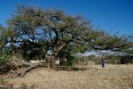 spionkop-spearmans-no-4-stationary-field-hospital-general-views-2