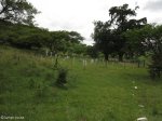 spionkop-spearmans-no-4-stationary-field-hospital-general-views-3_0