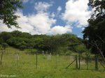 spionkop-spearmans-no-4-stationary-field-hospital-general-views-4