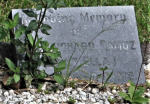 St-Margarets-Mid-Illovo-grave-Richard-Ramuz-....80